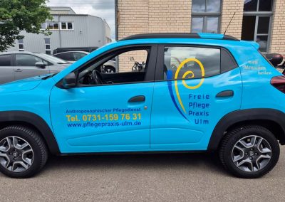 Dacia Spring Freie Pflege