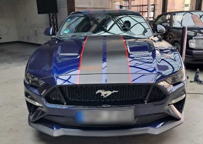 Mustang mit Streifen