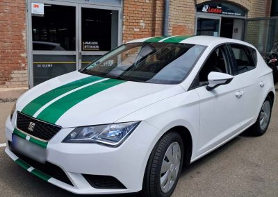 Ralleystreifen Seat Leon grün auf weiss
